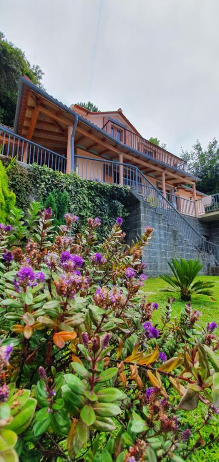 Fantatic Holiday House Ponta Delgada  Eksteriør billede