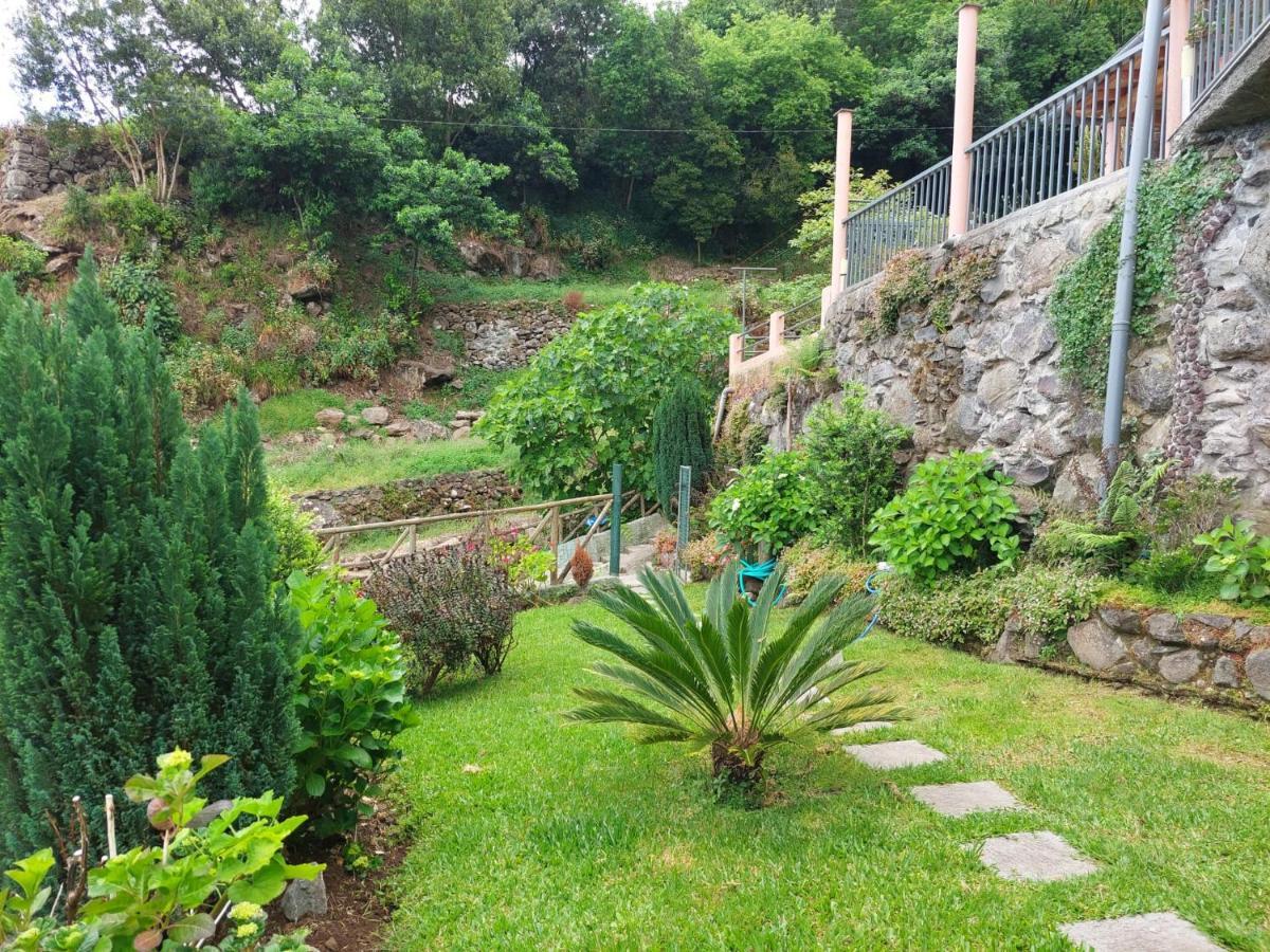 Fantatic Holiday House Ponta Delgada  Eksteriør billede